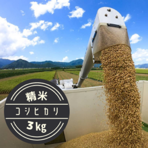KFKOME3K