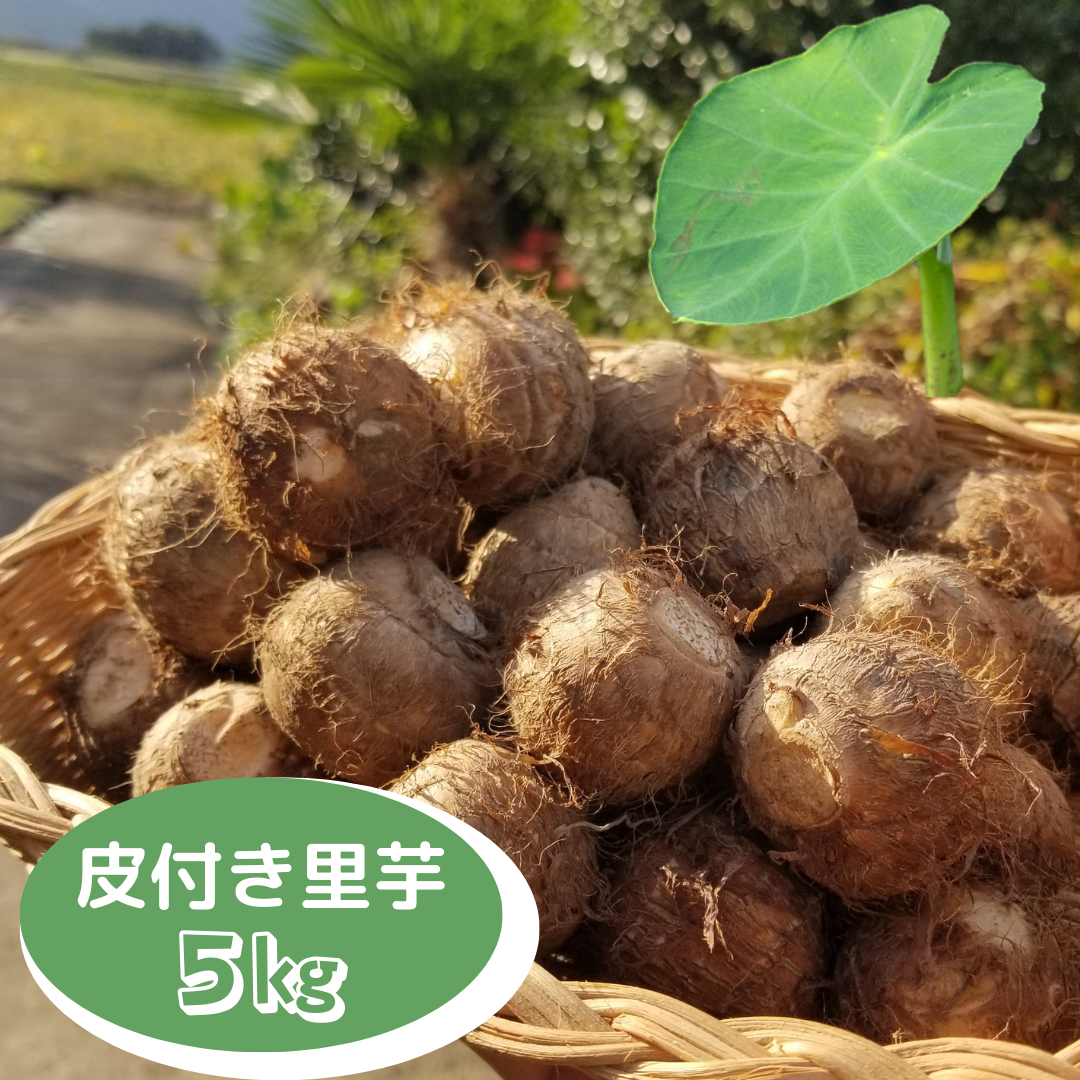 里芋 【ご注文受付ページ】