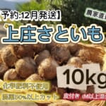 KFKS10KG12