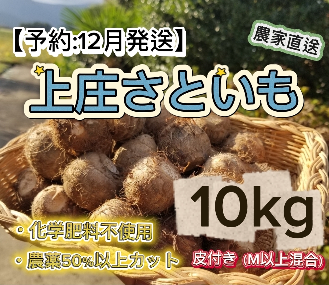 KFKS10KG12