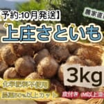 KFKS3KG10