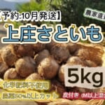 KFKS5KG10