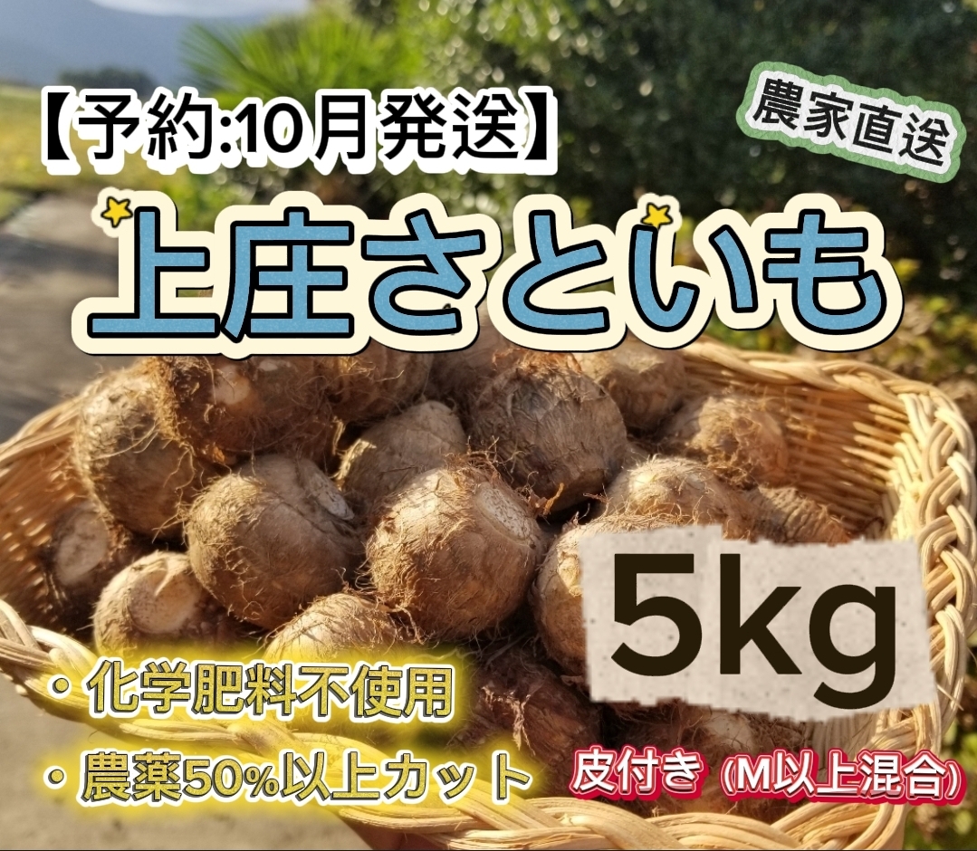 KFKS5KG10