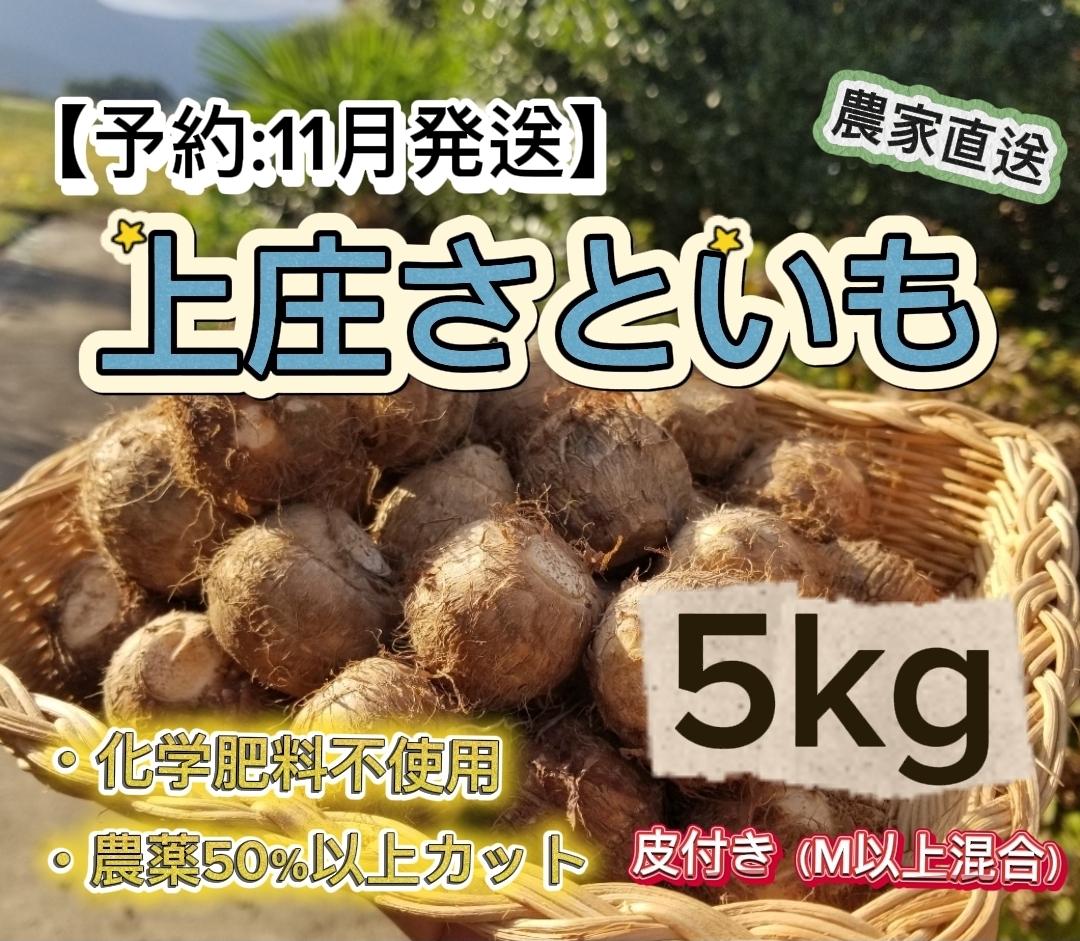 KFKS5KG11