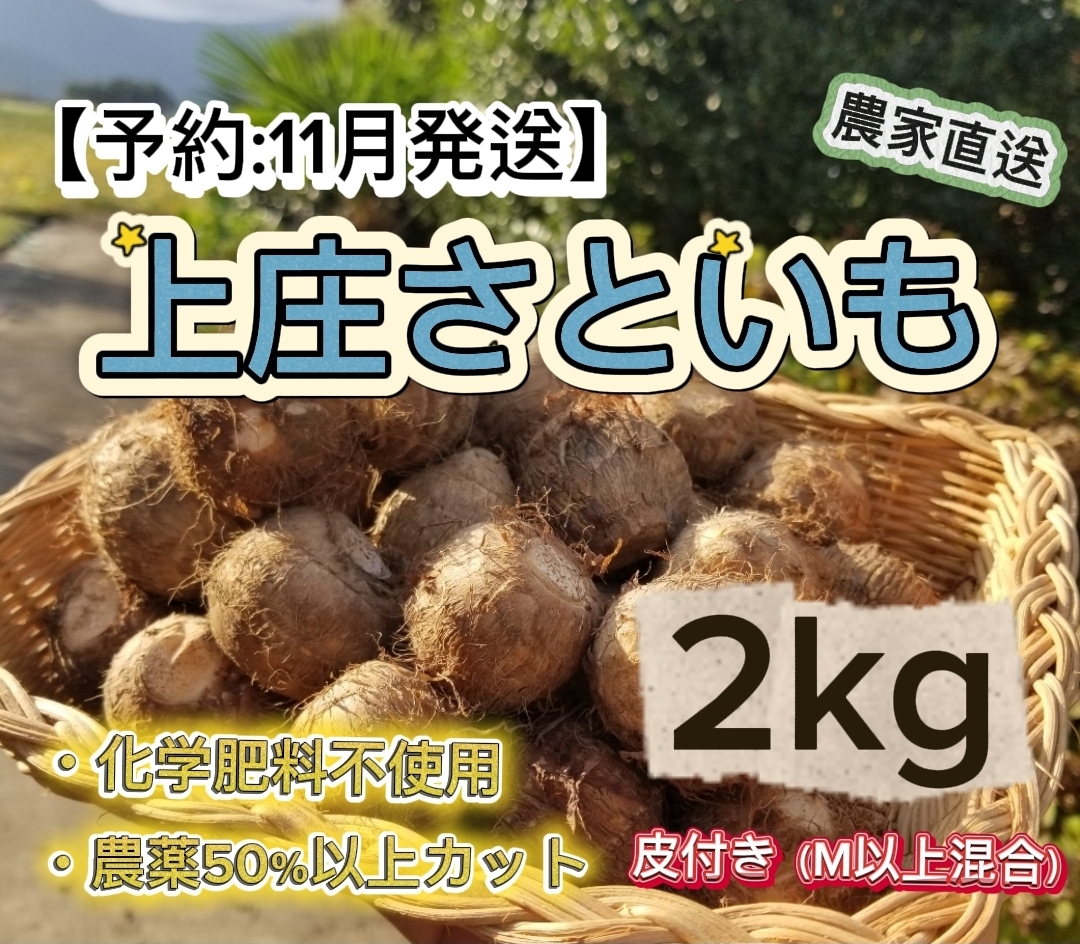 KFKS2KG11
