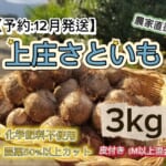 KFKS3KG12
