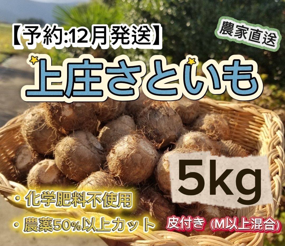 KFKS5KG12