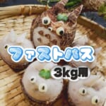 KFKS3F