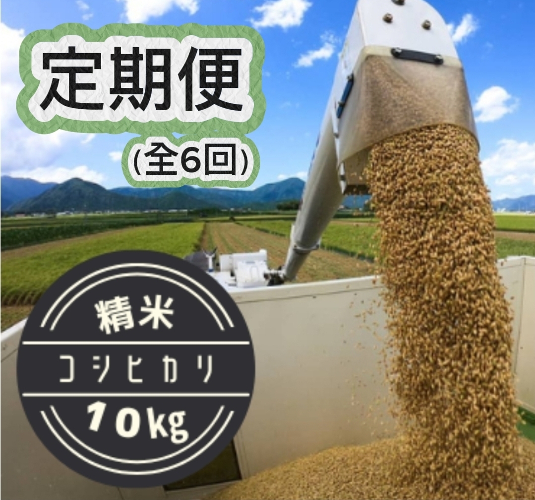 KFKOME10K