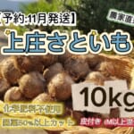 KFKS10KG11