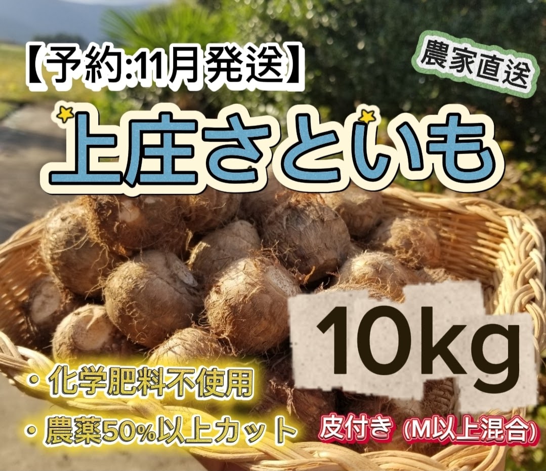 KFKS10KG11
