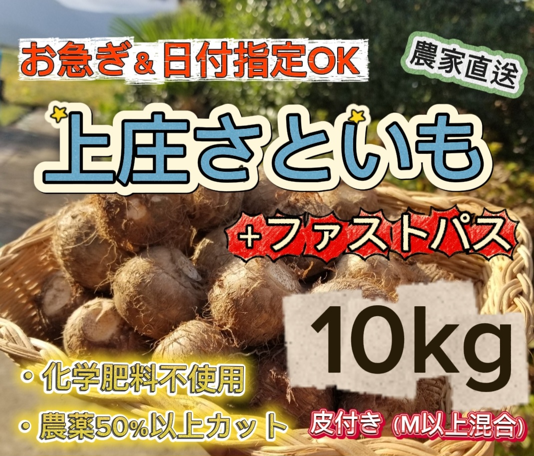 KFKS10F