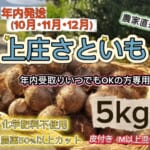 KFKS5FREE